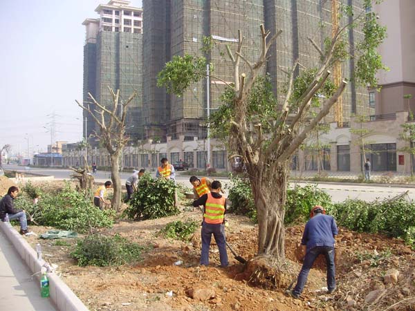 中山市坦洲界獅南路